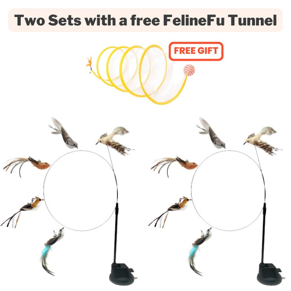 Interactive Bird Toy