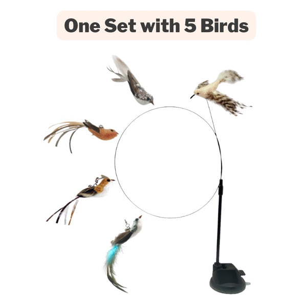 Interactive Bird Toy