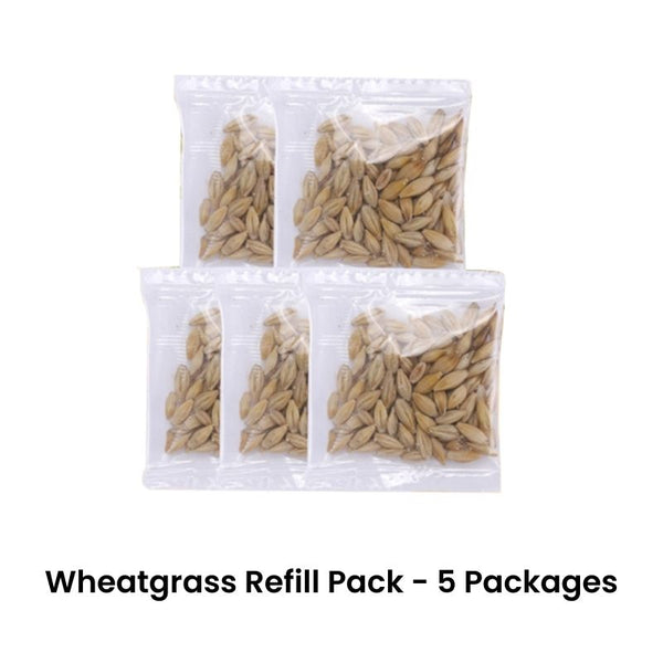 Kitty Greens - Hydroponic Cat Wheatgrass Kit