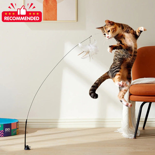 Complete Cat Entertainment Bundle: Magic Scratching Board, Interactive Bird Toy, and a FREE Adventure Tunnel included