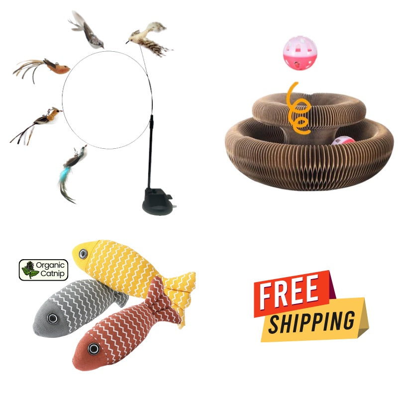 Ultimate Cat Play Pack: Magic Board, Interactive Bird Toy & Fish catnip toy (Buy 2 Get 1 Free)