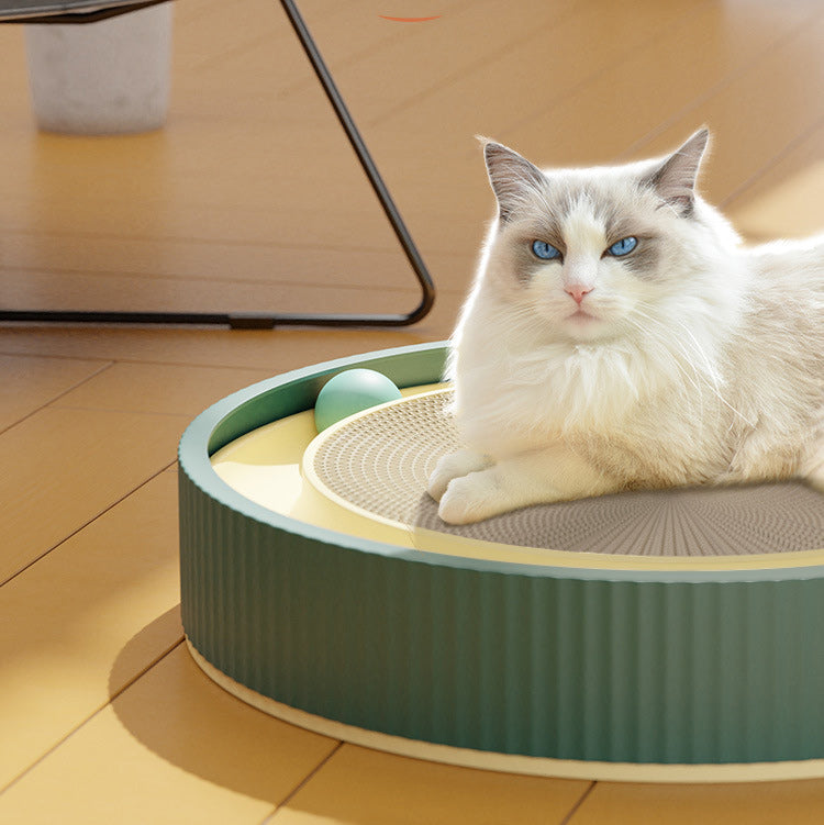 FlexiPlay Cat Interactive Scratching Board