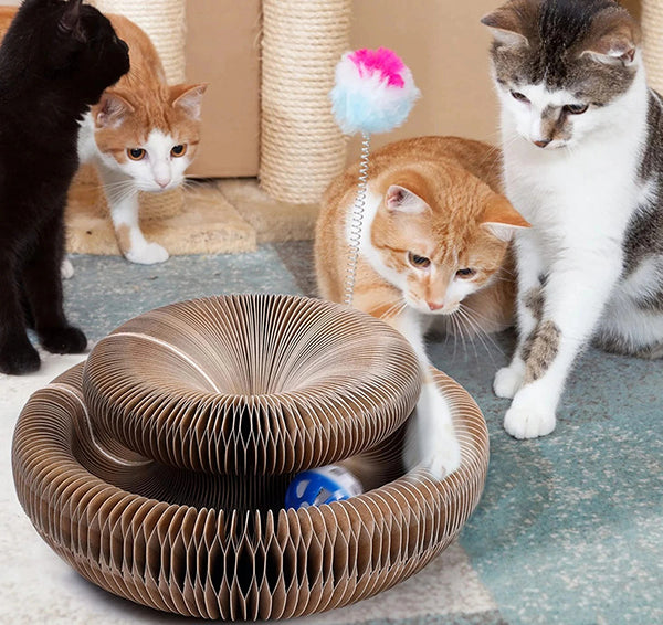 Complete Cat Entertainment Bundle: Magic Scratching Board, Interactive Bird Toy, and a FREE Adventure Tunnel included