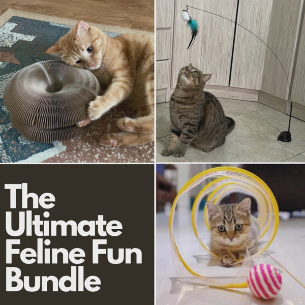 Complete Cat Entertainment Bundle: Magic Scratching Board, Interactive Bird Toy, and a FREE Adventure Tunnel included