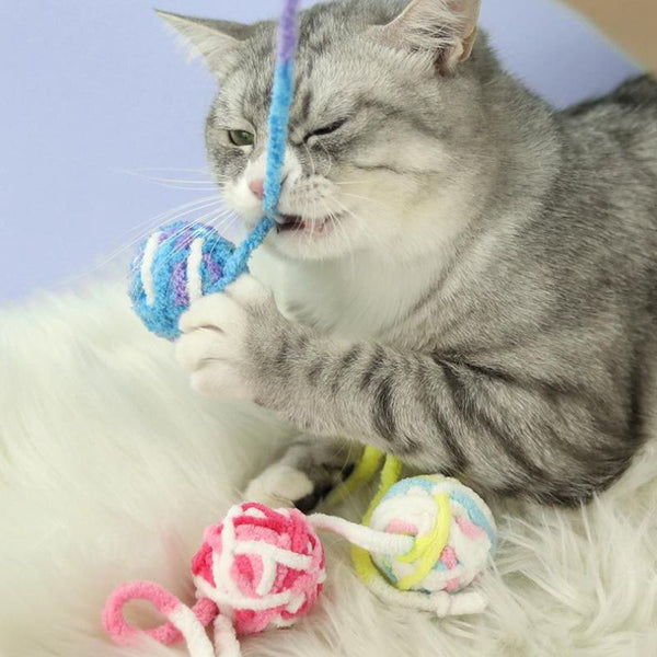 Purrfect Ball Playtime - Comprehensive Cat Toy Set