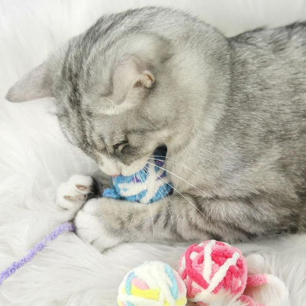 Purrfect Ball Playtime - Comprehensive Cat Toy Set