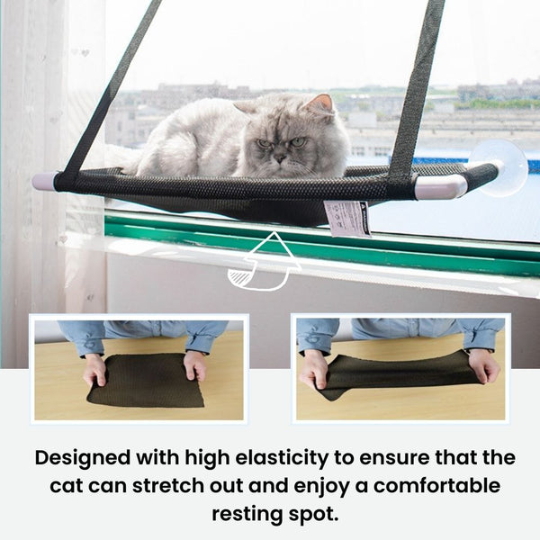 The Ultimate Window Hammock for Your Feline Friend