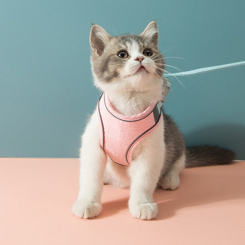 Reflective Cat Harness & Leash Set