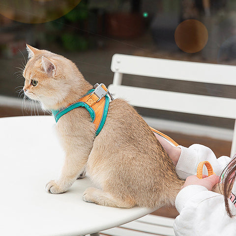 Reflective Cat Harness & Leash Set