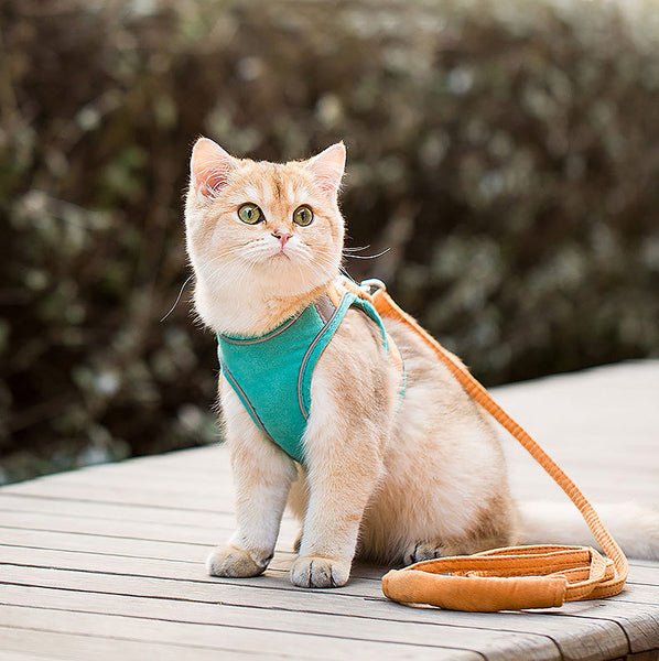 Reflective Cat Harness & Leash Set