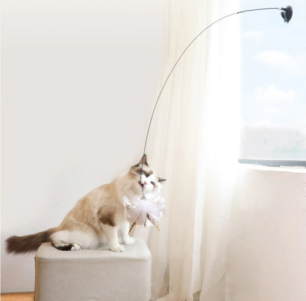 Interactive Bird Toy for Cats: Natural Feathers and Wand for Stimulating Playtime