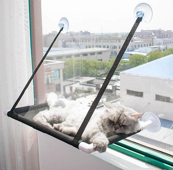 The Ultimate Window Hammock for Your Feline Friend