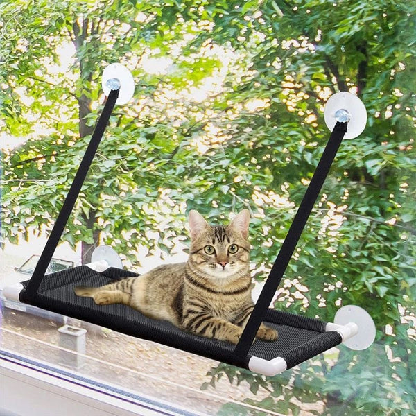 The Ultimate Window Hammock for Your Feline Friend