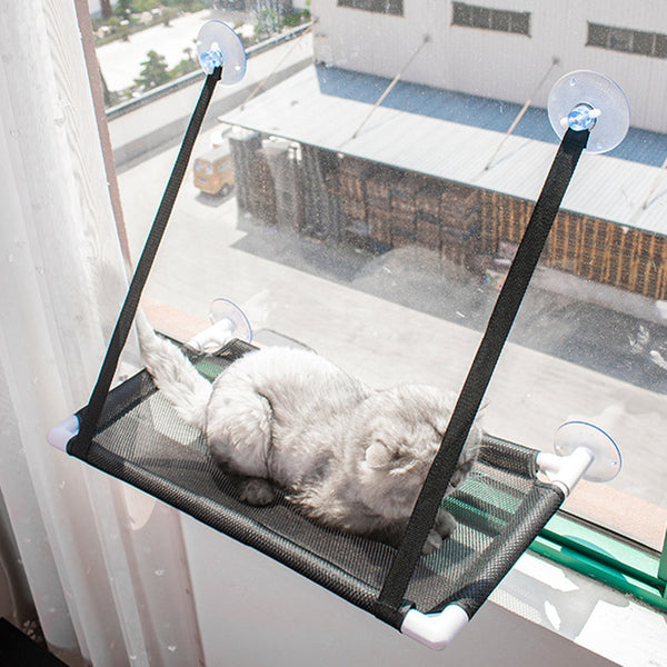 The Ultimate Window Hammock for Your Feline Friend