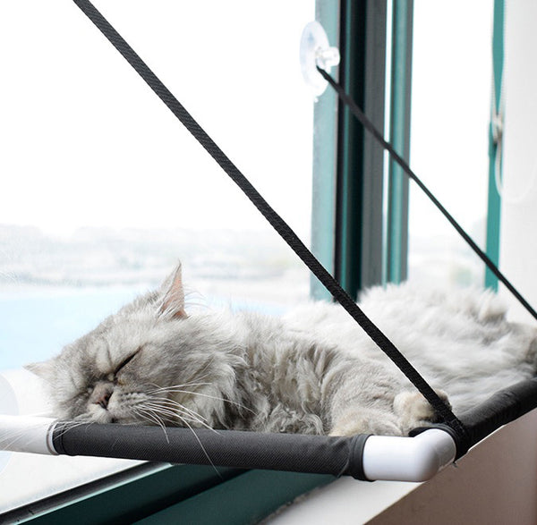 The Ultimate Window Hammock for Your Feline Friend