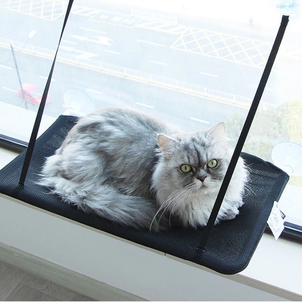 The Ultimate Window Hammock for Your Feline Friend