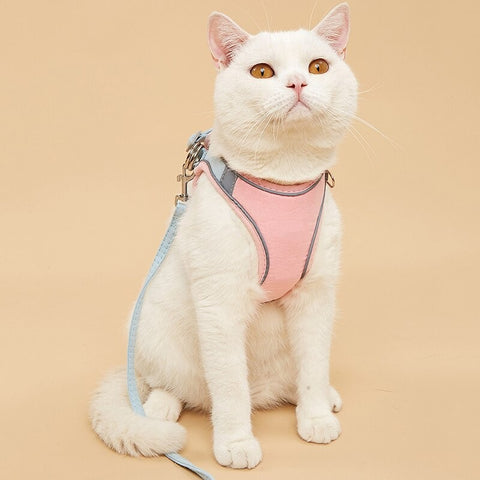 Reflective Cat Harness & Leash Set