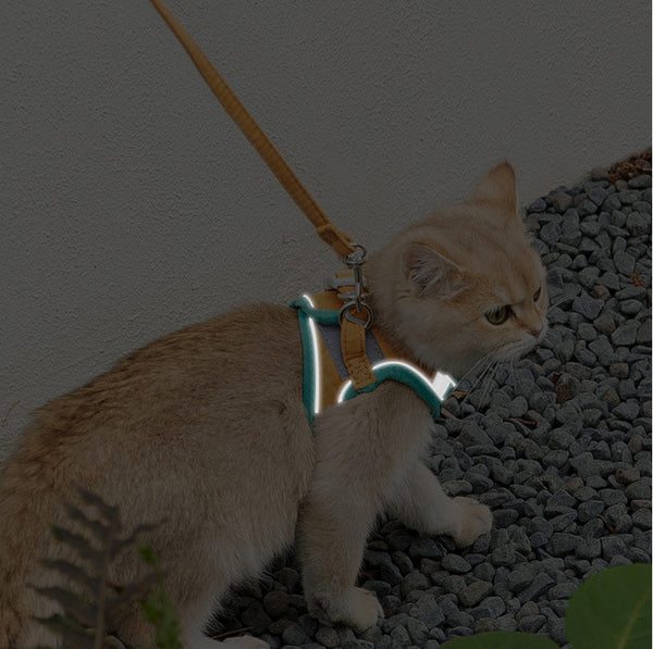 Reflective Cat Harness & Leash Set